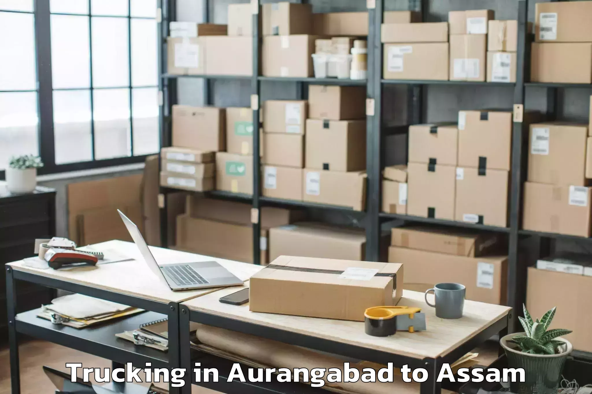 Easy Aurangabad to Sonabarighat Trucking Booking